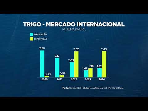 Importações de trigo voltam a crescer depois de três quedas consecutivas | Canal Rural