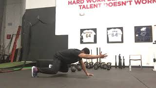 Bear Plank with Arm March