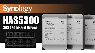 Synology HAS5300 SAS Hard Drives Released