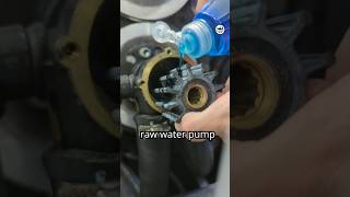 Boat impeller install TIP #boat #diy #marine #wrenching #boating