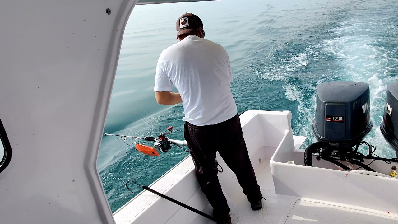 Trolling mackerel تشخيط كنعد