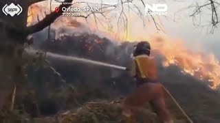 Asturias se quema | Un centenar de incendios azotan esta región del norte de España