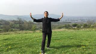 18 Tai Chi Qigong Shibashi Set 1 with Karen