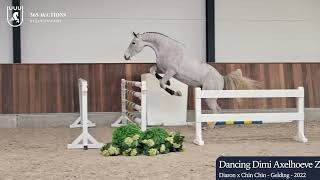 Dancing Dimi Axelhoeve Z