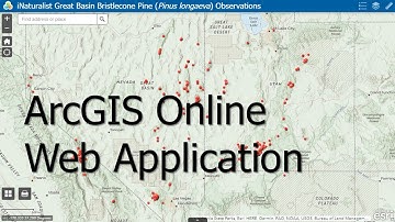 How to create a simple ArcGIS Online web application