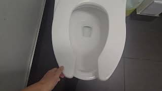 Weird 2023 Waves One Piece toilet
