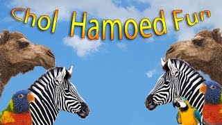 Sukot fun at White Post Farms - So much to do on Chol Hamoed