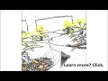 #Cannabis Growing & Time Travel (time lapse) | Green CulturED Cannabis College