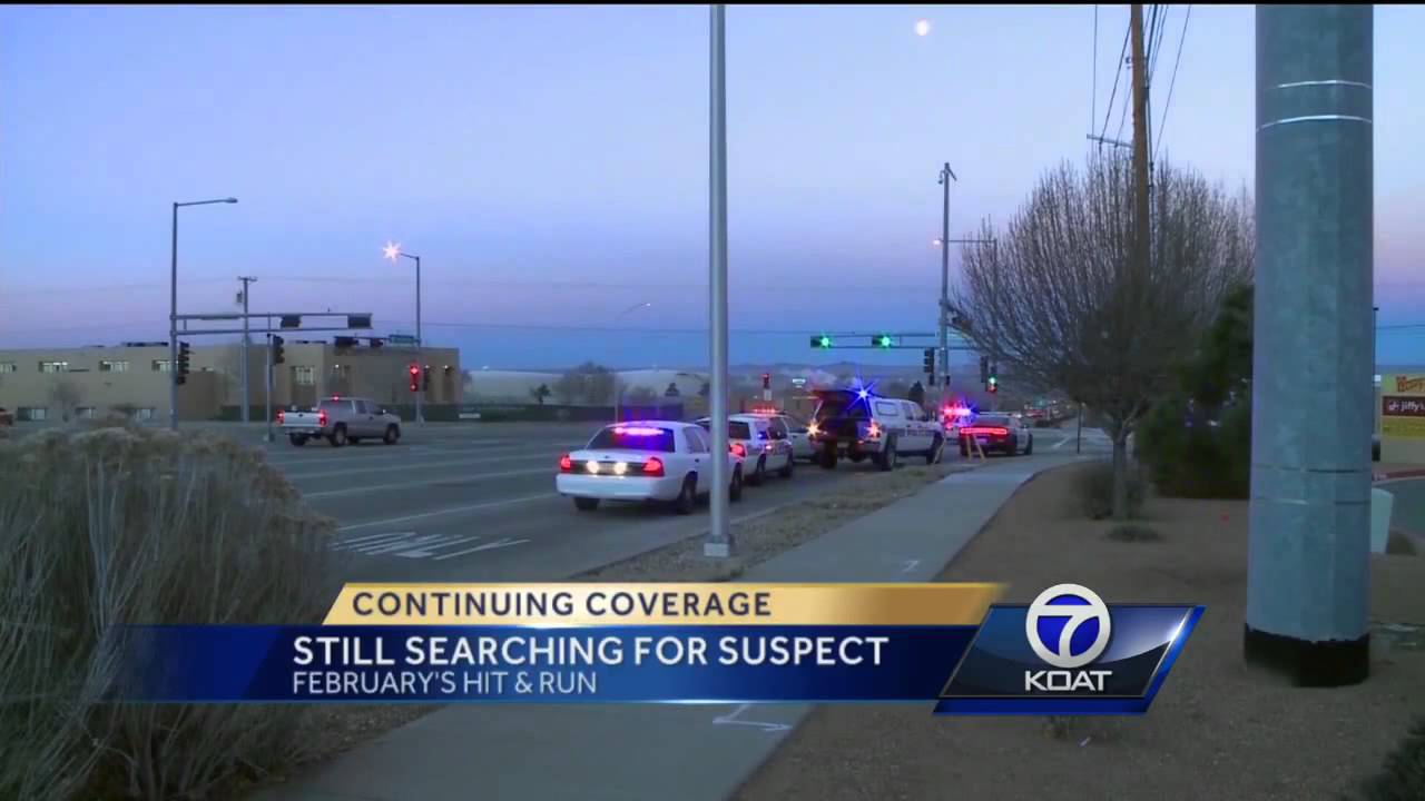 Police still searching for driver after hit-and-run - YouTube
