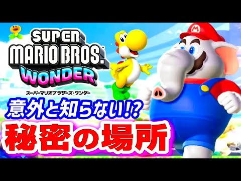 スーパーマリオwonder Super Mario Bros Wonder!! World 1: 100% FULL PLAYTHROUGH