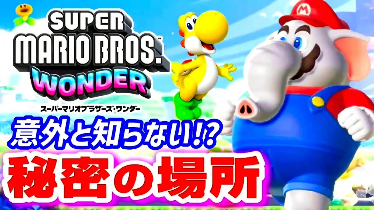 「スーパーマリオブラザーズ ワンダー」 「マリオパーティ」 スーパーマリオブラザーズ ワンダー | My Nintendo Store（マイ