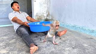 🐵🚿 Cute Little Thief! Baby Monkey Ri Ri Fights Dad for the Bathroom    The Ending Is Hilarious! 😂
