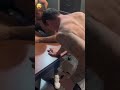 такую мне бы тренировку пиво тренировку.