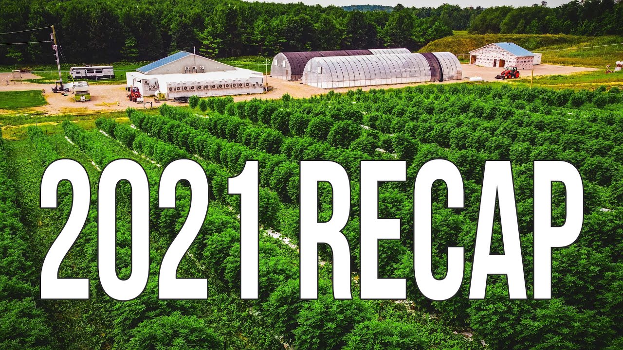 Was 2021 a good year to farm Cannabis?