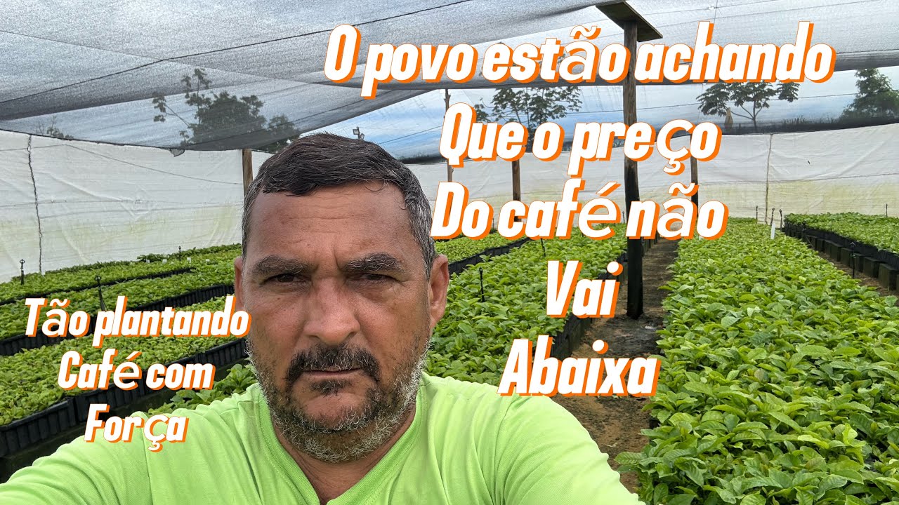 O povo estão plantando café ater em caixa d’água 
