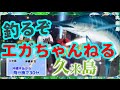 伝説のカジキ釣ります！【エガちゃんねる】