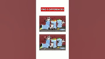 Find 3 Differences #165
