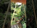 Into The Forest Travel Camping Nature Shorts Relaxing Kakolab2024 Into The Forest Travel Camping Nature Shorts Relaxing Kakolab2024