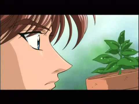Canción de Randy Nobutoshi Canna Randywmv (RADIANTE MAÑANA)
