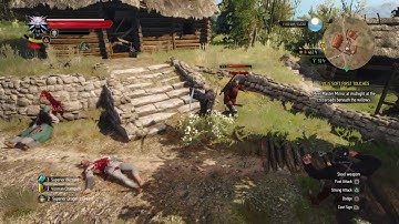 The Witcher 3: Wild Hunt How Ive Missed Having Question Marks!