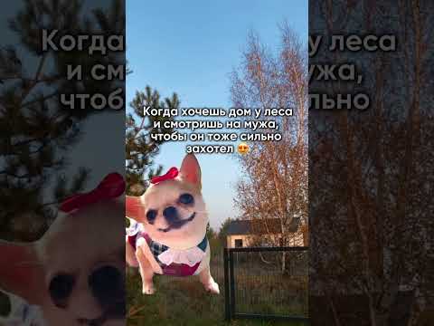 #дом #kaliningrad #недвижимостькалининград #kaliningradregion #стройка