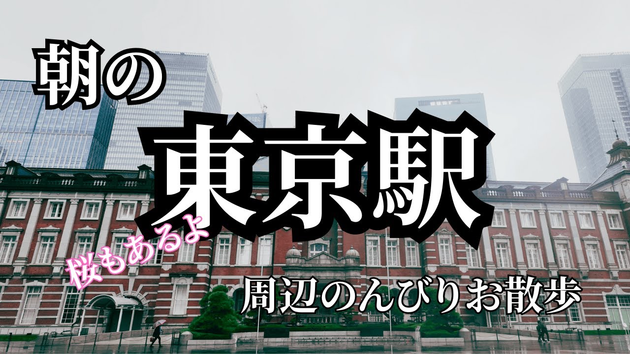朝の東京駅周辺をのんびりお散歩 桜もあるよ - YouTube