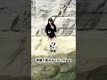 リール2200万再生された動画🎥