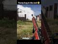 3 kills in phase 5 , and the funniest bug in the end 🤣🤣