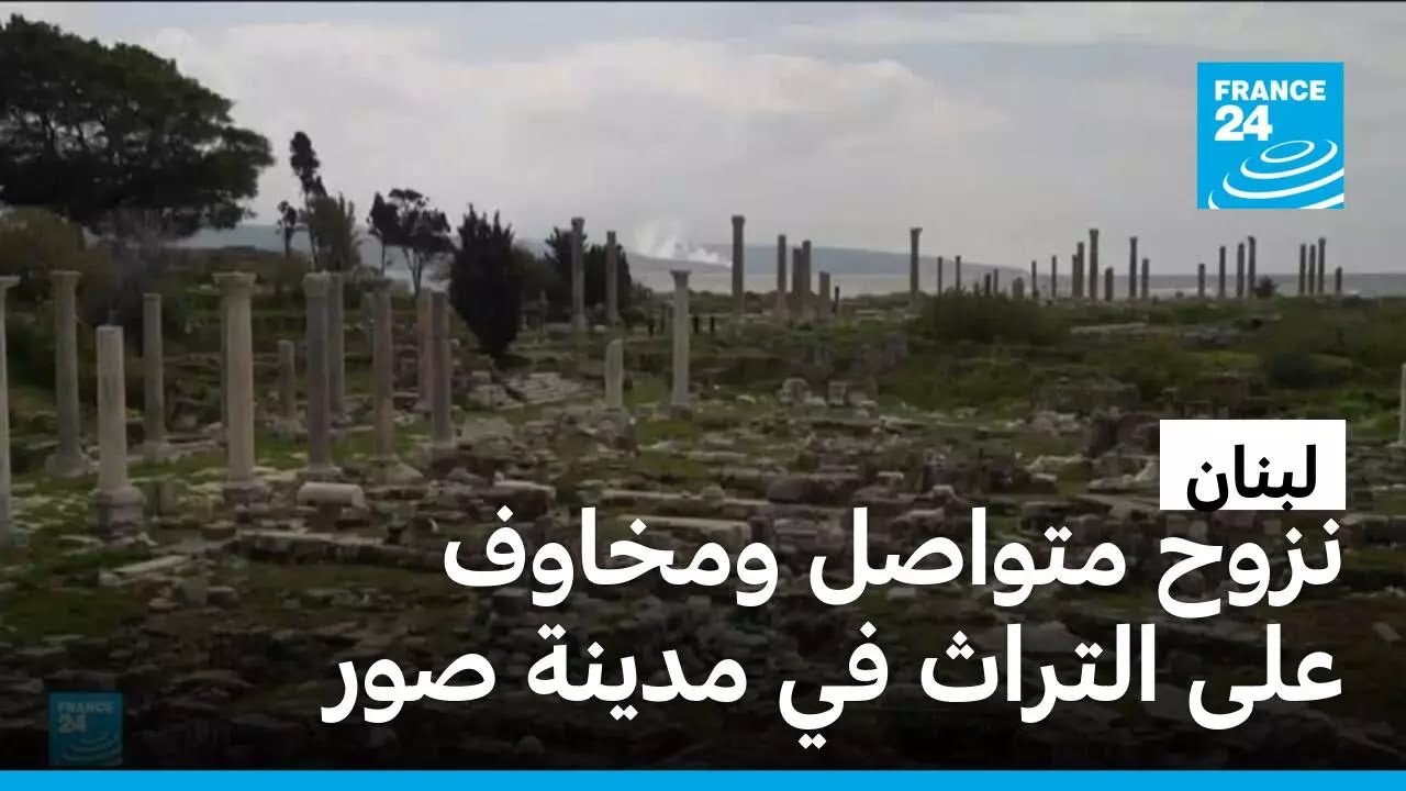 �����: ���� ������ ������ ��� ������ �� ����� ���
 - نشر قبل 14 دقيقة