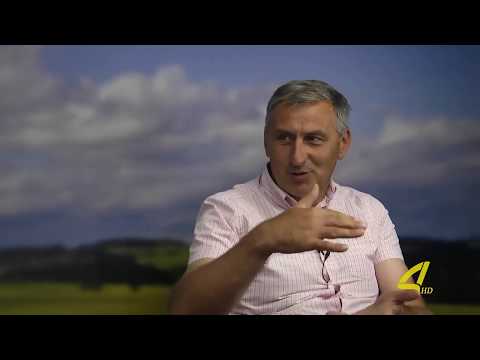 ჟოლოს დაავადებები და მათთან ბრძოლის მეთოდები