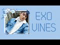 EXO vines to watch while taking a Love Shot