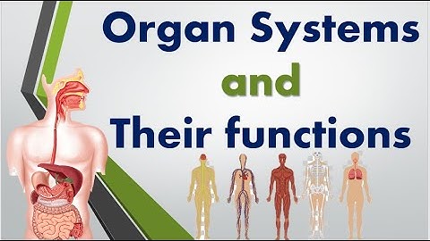 *FULL* Organ Systems and their functions (with quiz)/powertopics
