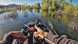 Fishing a California Flooded Forest (not quite what I expected)