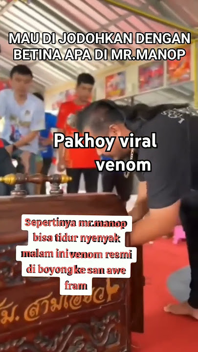 pakhoy venom resmi pindah kandang ?! #pakhoy #pakhoyvenom #pakhoydrumband