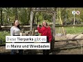 Diese Tierparks gibt es in Mainz und Wiesbaden