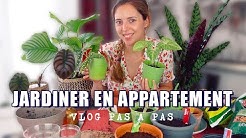 Jardiner en appartement, c'est possible ?! | Pas à Pas