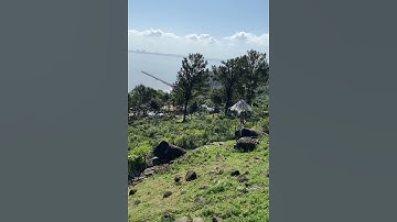 Đỉnh nóc kịch trần về đồi cừu Đà Nẵng có view triệu đô cực kỳ xinh lung linh  #doicuudanang