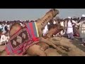 رستم پاکستان اونٹ چاندی