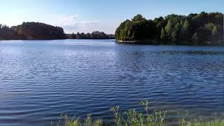 Весна на озере Звуки природы Сверчки, лягушки и пение птиц