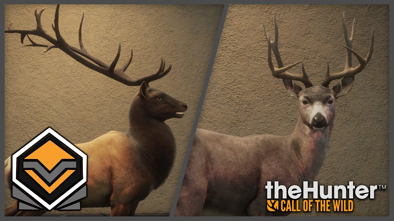 Diamond Elk & Blacktail Layton Lake theHunter Call of the Wild