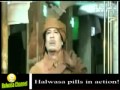 Halwasa Mp4