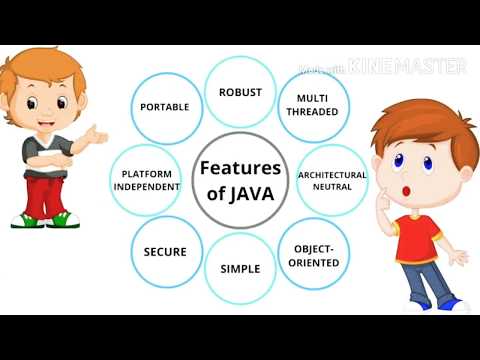 WHY JAVA PLATFORM INDEPENDENT?