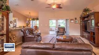 234 MAGELLAN CIR video tour