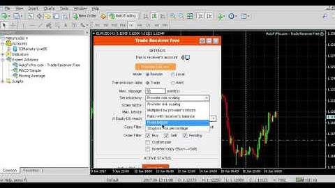 How install EA Copy Trade in your account, Mt4 - Mt5