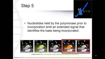Small Molecule Real Time Sequencing (4.5) Part 2