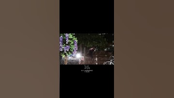 الَّذِينَ آمَنُوا وَتَطْمَئِنُّ قُلُوبُهُمْ بِذِكْرِ اللَّهِ || سوره الرعد : 28 || علي جابر || #قرآن