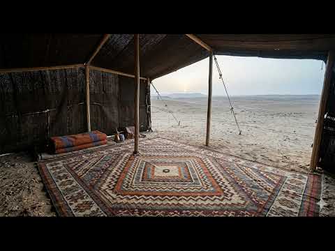 صورة مصغّرة للفيديو: Freedom — Camel's Eye
