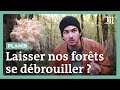 Et si on laissait nos forêts tranquilles ? #PlanB