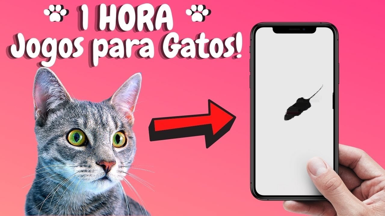 1 HORA JOGOS PARA GATOS, VIDEO PARA GATOS 😺 CAT GAMES
