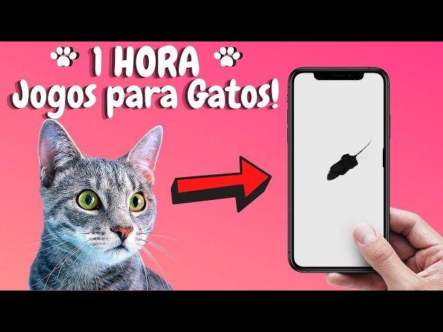 5 JOGOS PARA GATOS EM CASA 🐱 